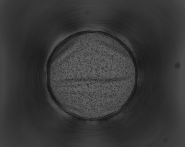 X0000091891080200710031136