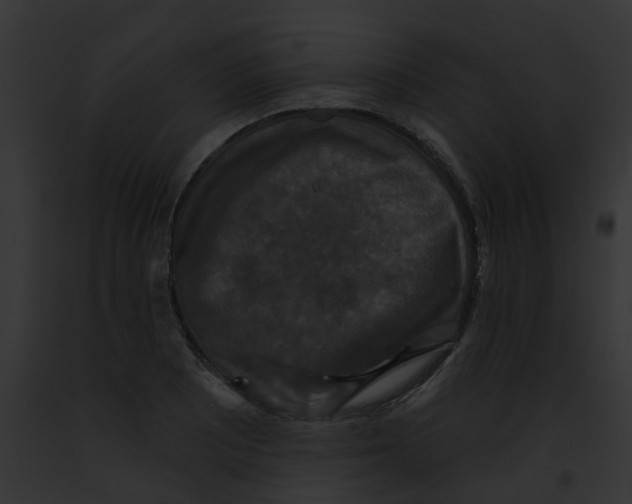 X0000091891081200710031136