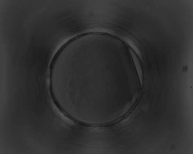 X0000091891084200710031136