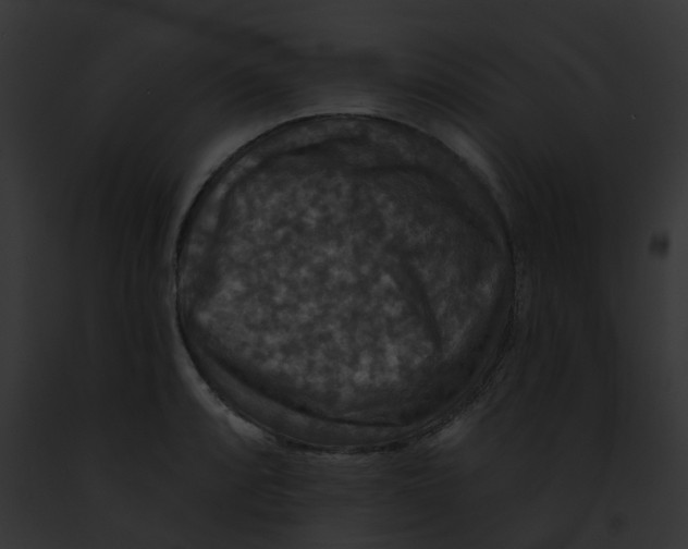 X0000091891088200710031136