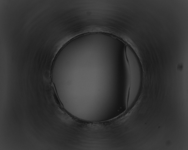 X0000091891089200710031136