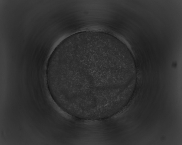X0000091891091200710031136