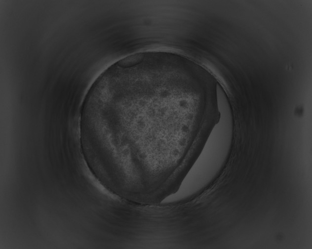 X0000091891092200710031136