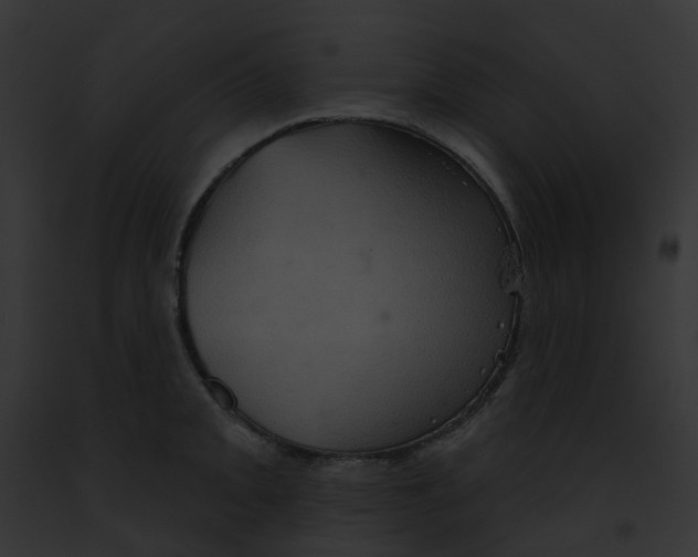 X0000091891093200710031136