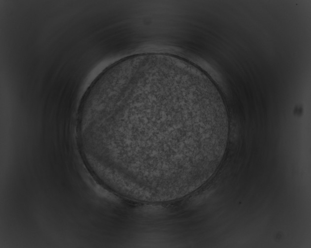 X0000091891094200710031136