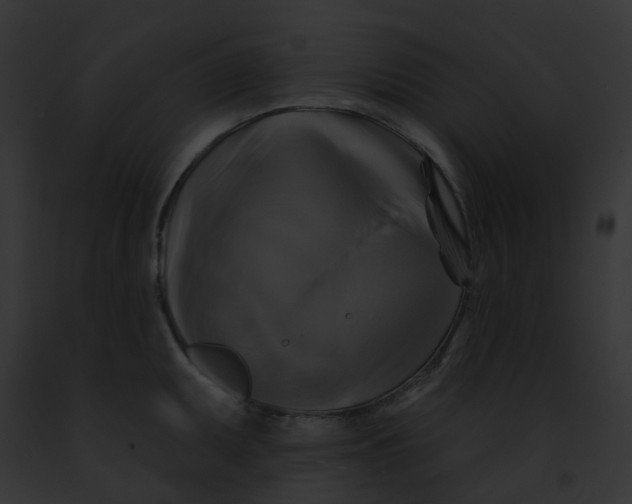 X0000091891095200710031136