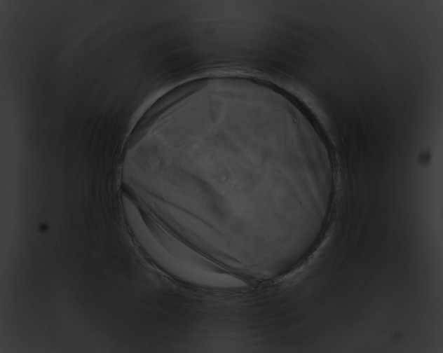 X0000091891097200710031136
