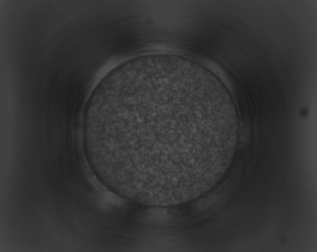 X0000091891098200710031136