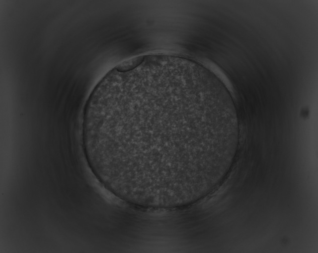 X0000091891099200710031136
