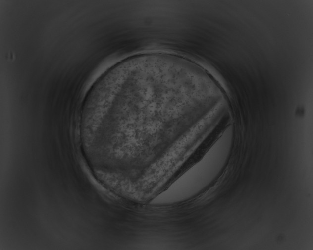 X0000091891101200710031136