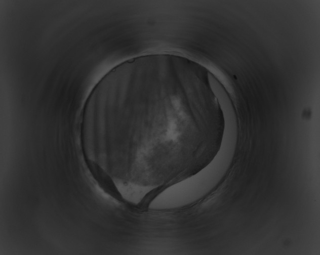 X0000091891102200710031136