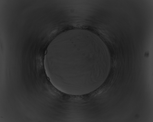 X0000091891106200710031135