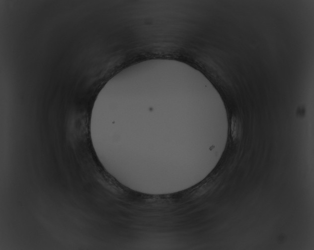 X0000091891107200710031135