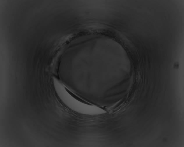 X0000091891108200710031135