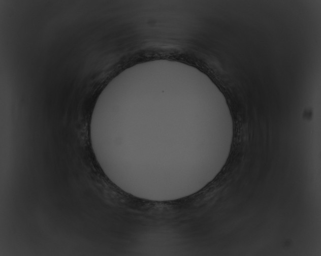 X0000091891109200710031135