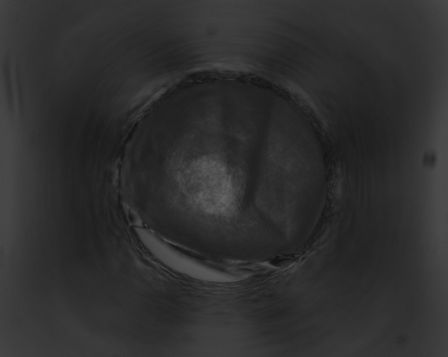 X0000091891110200710031135