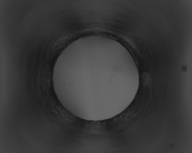 X0000091891111200710031135