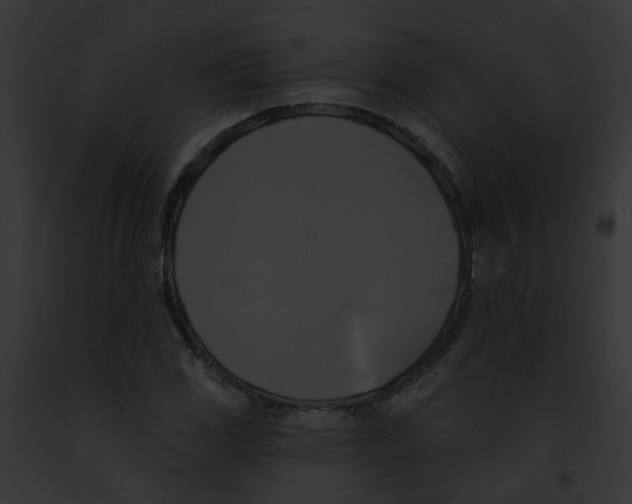 X0000091891117200710031136