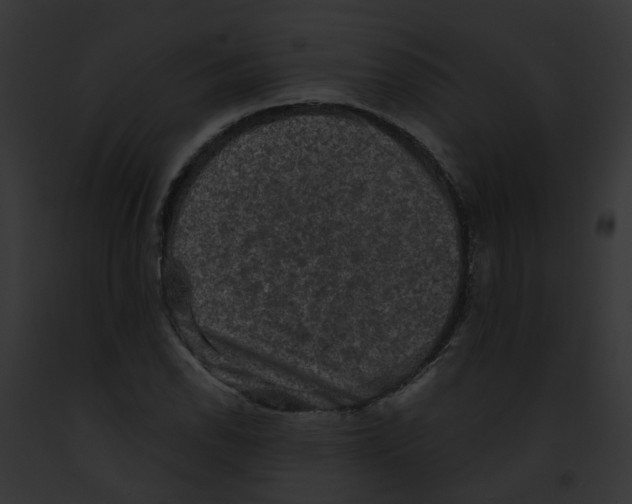X0000091891118200710031136