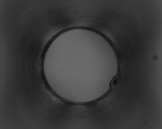 X0000091891119200710031136