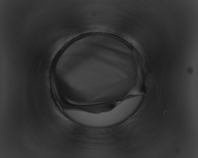 X0000091891120200710031136