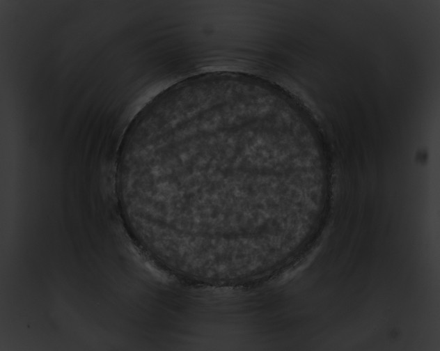 X0000091891121200710031136