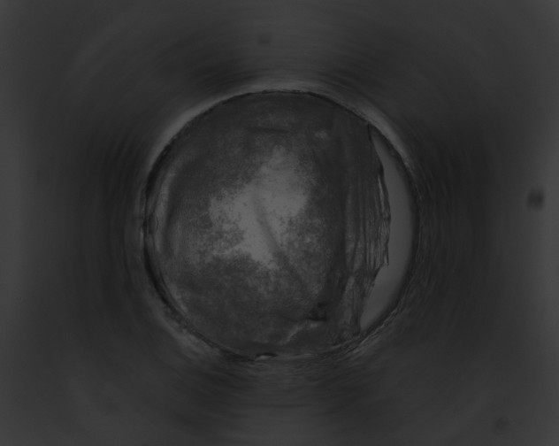 X0000091891124200710031136
