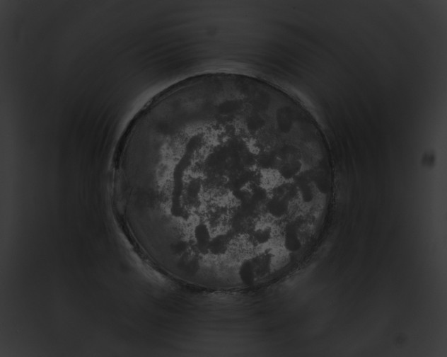 X0000091891125200710031136