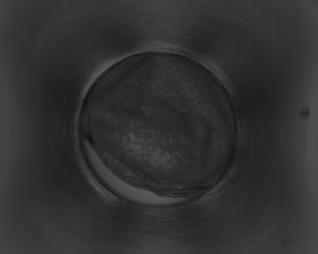 X0000091891128200710031136