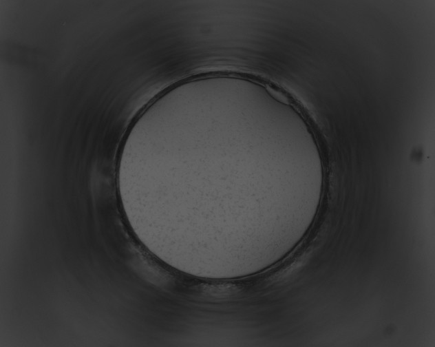X0000091891129200710031136