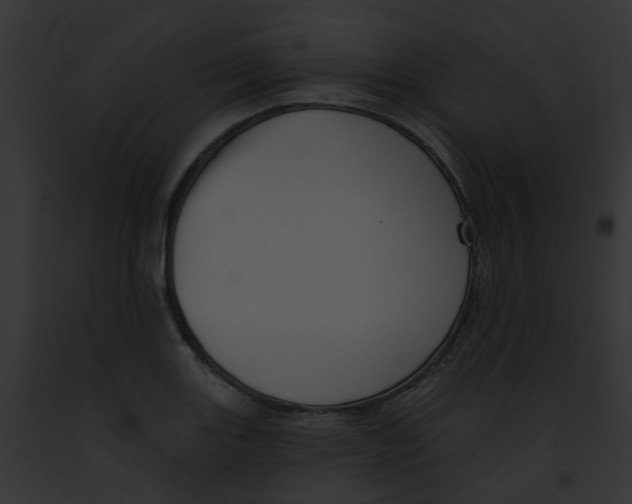 X0000091891131200710031136