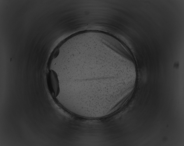 X0000091891133200710031136