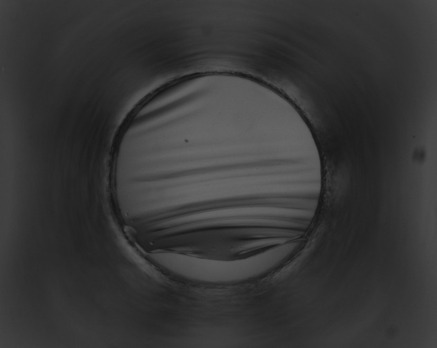 X0000091891134200710031136