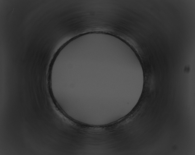 X0000091891135200710031136