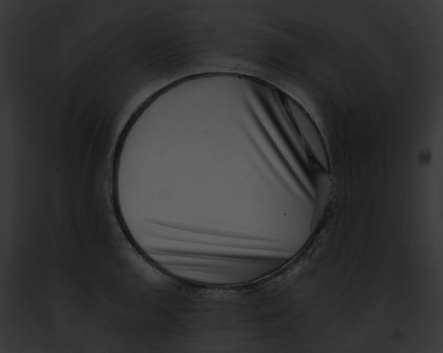 X0000091891136200710031136
