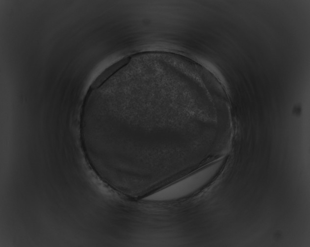 X0000091891138200710031136