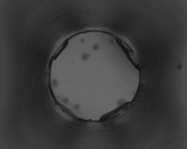 X0000091891140200710031136