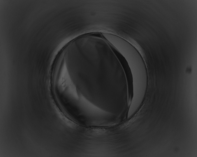 X0000091891144200710031136