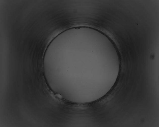 X0000091891145200710031136