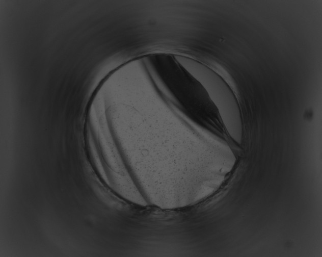 X0000091891146200710031136