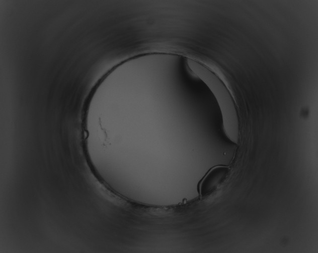 X0000091891147200710031136