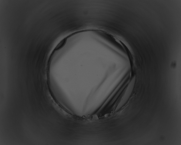 X0000091891148200710031136