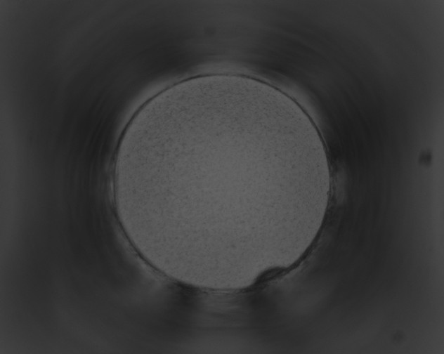 X0000091891150200710031136