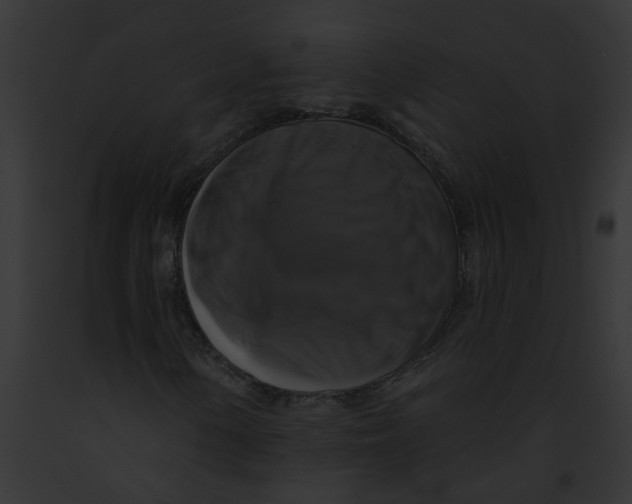 X0000091891154200710031135