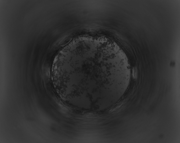 X0000091891155200710031135