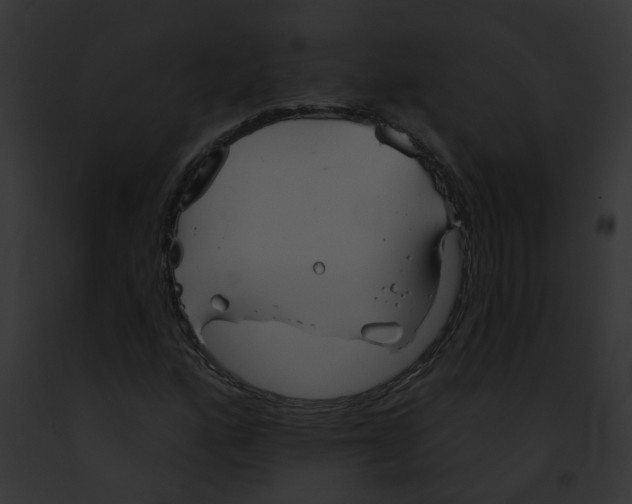 X0000091891160200710031135