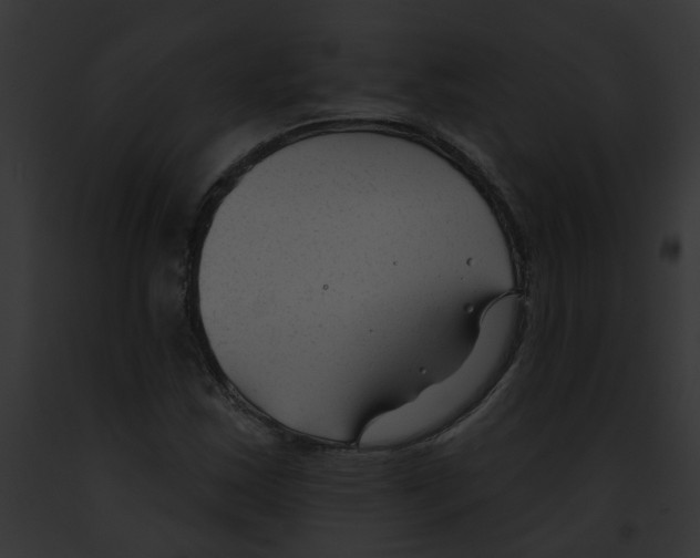X0000091891163200710031135