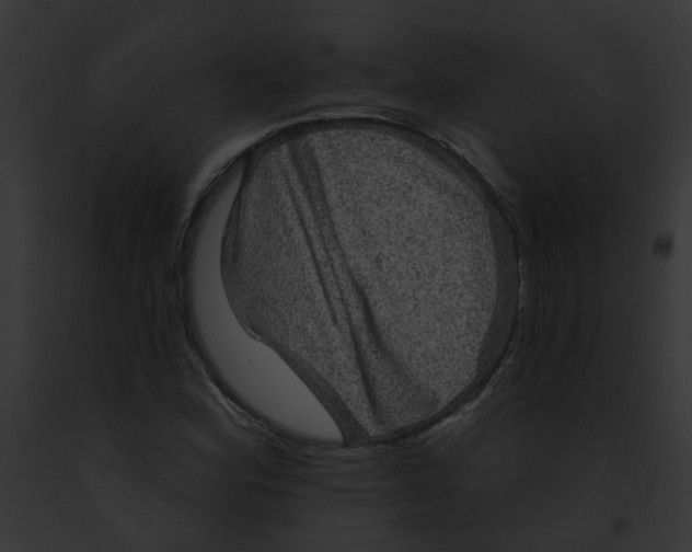 X0000091891164200710031135