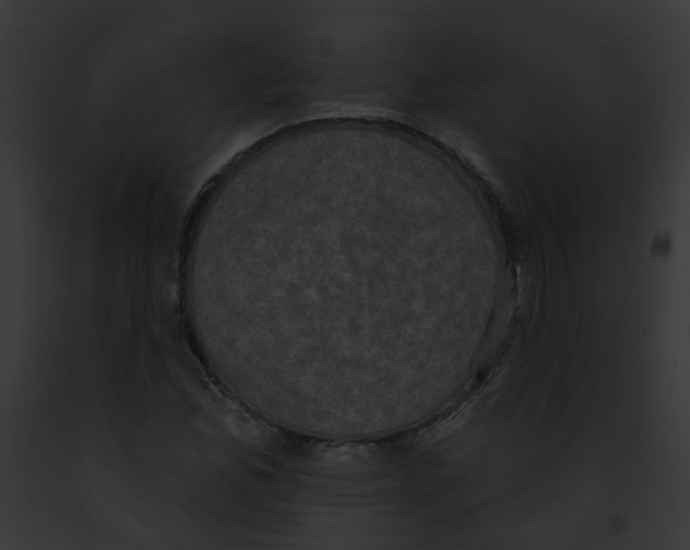 X0000091891165200710031135