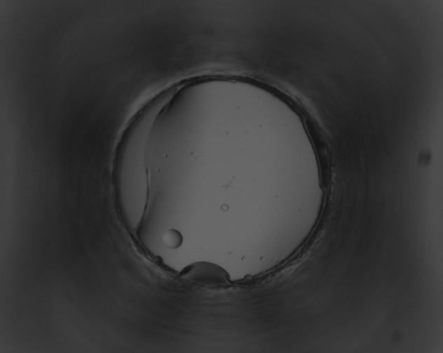 X0000091891168200710031135